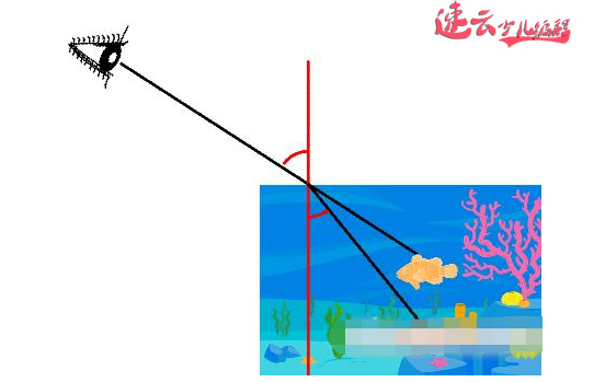 物理“光的折射”看编程如何解题「济南机器人编程_山东机器人编程_济南少儿编程」(图19)